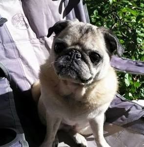 Meet your Posher, Jenni